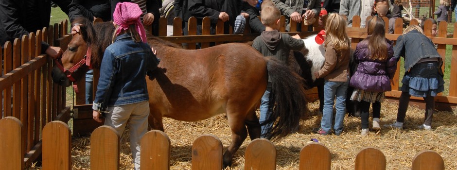 étrille et bouchon