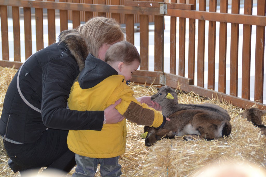 Approche et apprentissage des animaux, dès le plus jeune âge