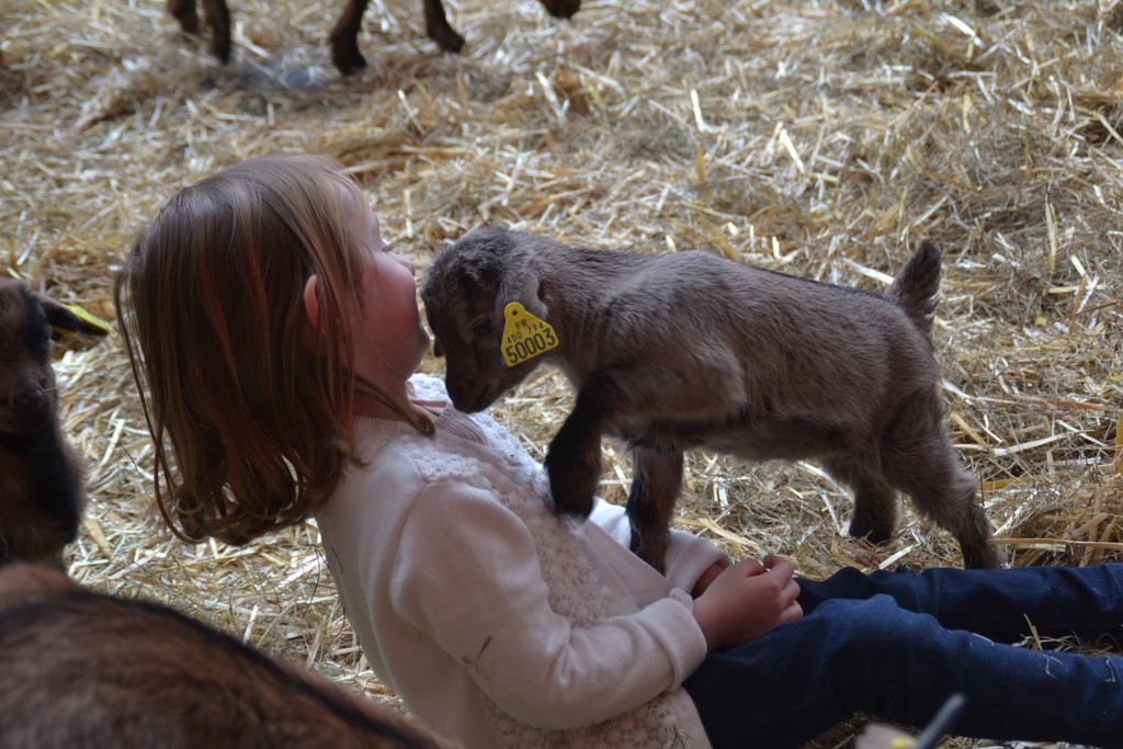 la confiance de l'enfant et l'animal