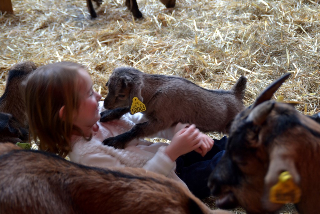 Moments partagés entre enfant et animal