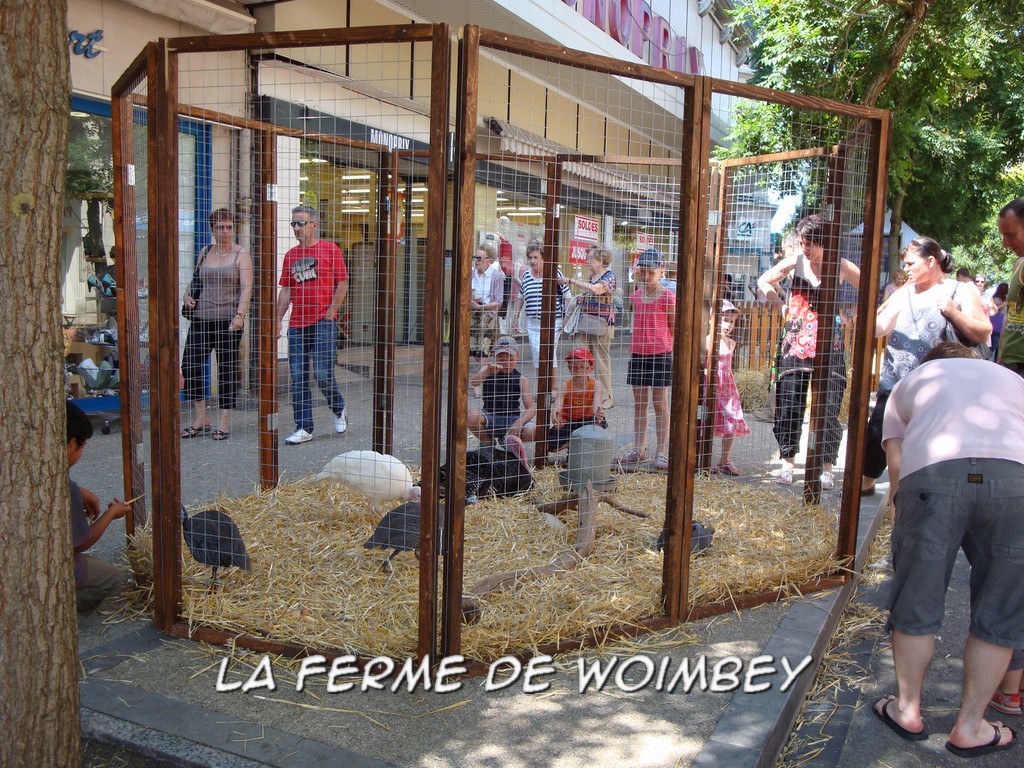 La ferme vagabonde  Ferme d'animation itinérante, visites à la ferme, éco  pâturage et locations de poules