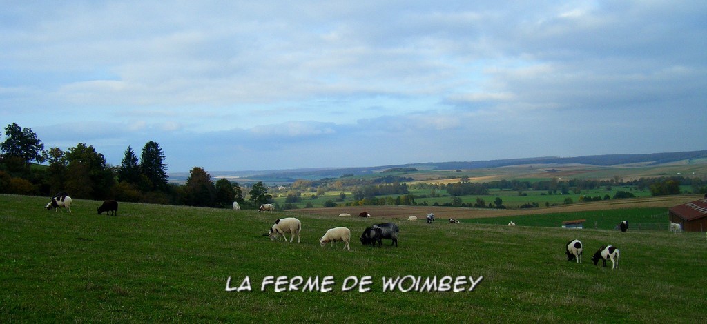 ferme pédagogique de meuse spécialiste en animation pour enfant