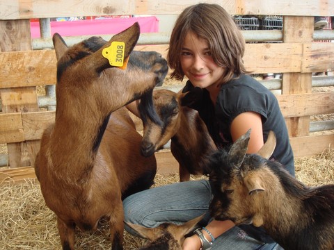 rencontrer les animaux, les caresser, les toucher à la ferme