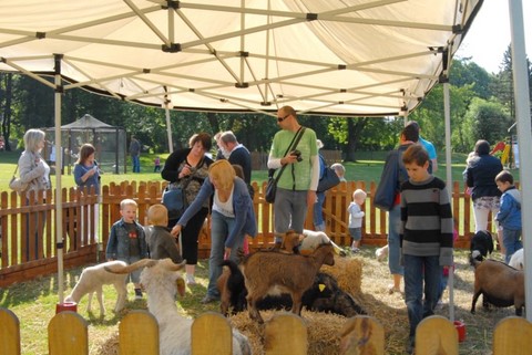 ferme itinérante, la ferme à la ville, animation galerie marchande, rencontre avec les animaux