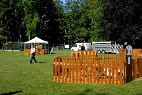 box en barrières bois, au rendu visuel de standing