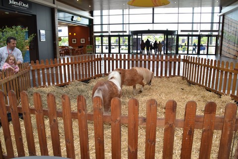 animation en galerie marchande, les animaux de la ferme dans le magasin, ferme pédagogique itinérante de Woimbey