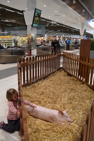 animation en galerie marchande, les animaux de la ferme dans le magasin