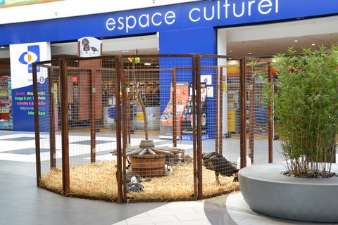 animation en galerie marchande, les animaux de la ferme dans le magasin, ferme pédagogique itinérante de Woimbey