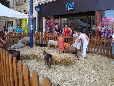 chèvres en ville, ferme en ville, animaux en ville, animation en ville avec les animaux de la ferme, la campagne à la ville, animation itinérantes, ferme itinérante