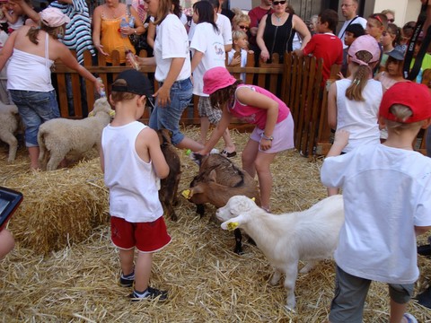 animaux à l'intérieur, animaux dans le magasin, ferme en galerie marchande, ferme itinérante et pédagogique de Woimbey