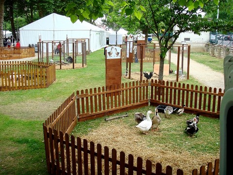 enclos et volières, panneaux didactiques pour présenter chaque animal, animations en ville, ferme itinérante