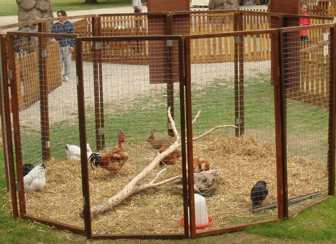 animation avec les animaux de la ferme en maison de retraite, animations et jeux sensoriels en maison de retraite, exposition et animations sensorielles pour senior 