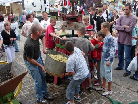 enfants font jus de pomme, remplissage du pressoir à pomme, enfants font eux-mêmes