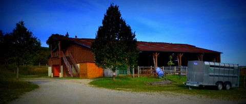 un été à la ferme, animations plein-air et pleine nautre, tout savoir sur les animaux de la ferme