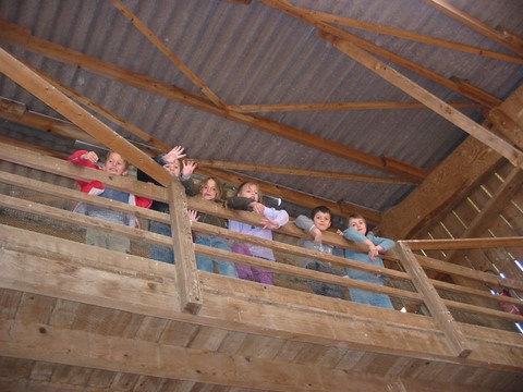 Passerelle d'observation à la Ferme de Woimbey, 