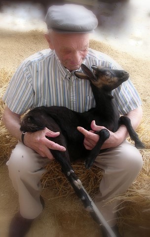 animation avec les animaux de la ferme en maison de retaite, exposition en maison de retraite, animations sensorielles, animations intergénérationnelles en maison de retraite